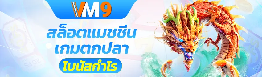 vm9 โปรโมชั่น